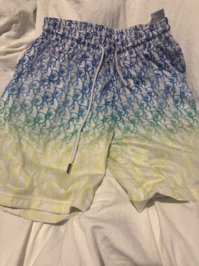Dior Gradient Logo Swim Shorts - Blue/Green/Yellow